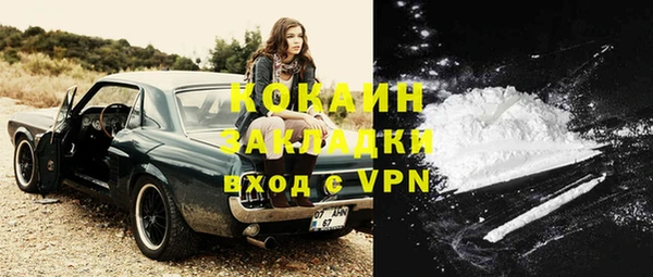 бошки Аркадак