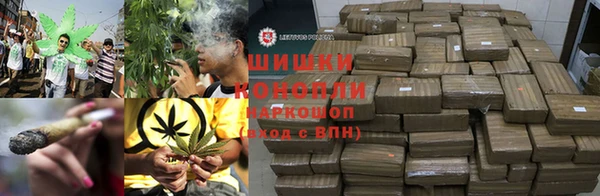 ГАЛЛЮЦИНОГЕННЫЕ ГРИБЫ Покровск