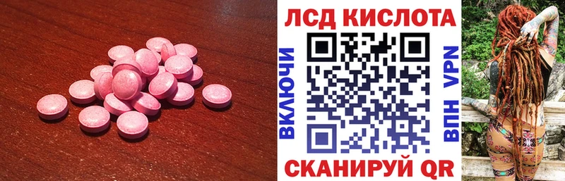 как найти закладки  Сураж  LSD-25 экстази кислота 