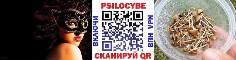 Галлюциногенные грибы Psilocybine cubensis  Сураж 